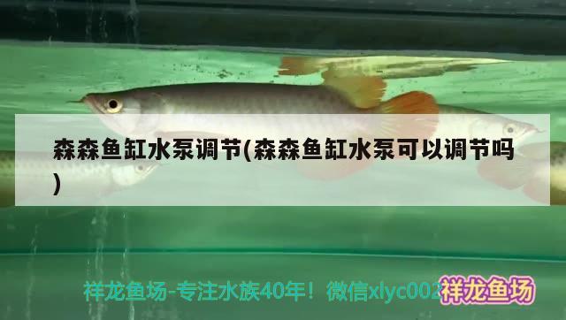 森森魚缸水泵調(diào)節(jié)(森森魚缸水泵可以調(diào)節(jié)嗎) 魚缸水泵