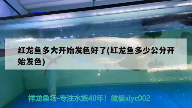 長春哪里有水族館長春水族館長春水族館長春水族館長春水族館，長春哪里有水族館