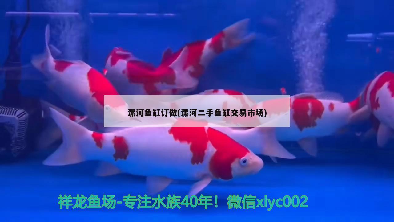 長(zhǎng)春哪里有水族館長(zhǎng)春水族館長(zhǎng)春水族館長(zhǎng)春水族館長(zhǎng)春水族館，長(zhǎng)春哪里有水族館 大嘴鯨魚 第2張