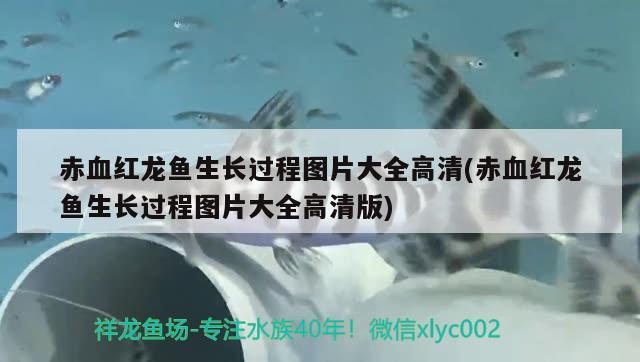 水族品牌代理賺錢嗎：水族品牌代理賺錢嗎是真的嗎