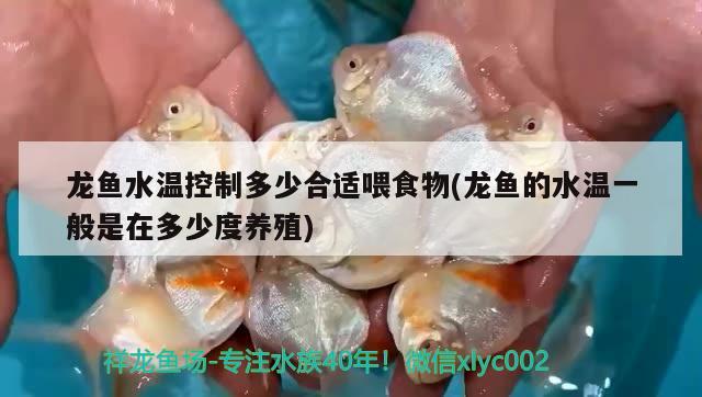 秦皇島魚缸回收公司有哪些地址和電話：秦皇島觀賞魚市場在哪