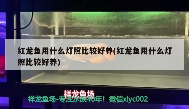 沈陽(yáng)市和平區(qū)莉莉水族漁具用品店 全國(guó)水族館企業(yè)名錄 第1張