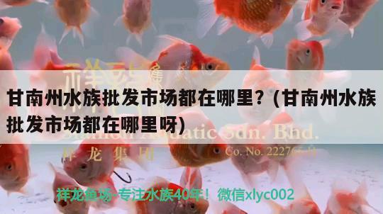 甘南州水族批發(fā)市場都在哪里？(甘南州水族批發(fā)市場都在哪里呀) 觀賞魚水族批發(fā)市場