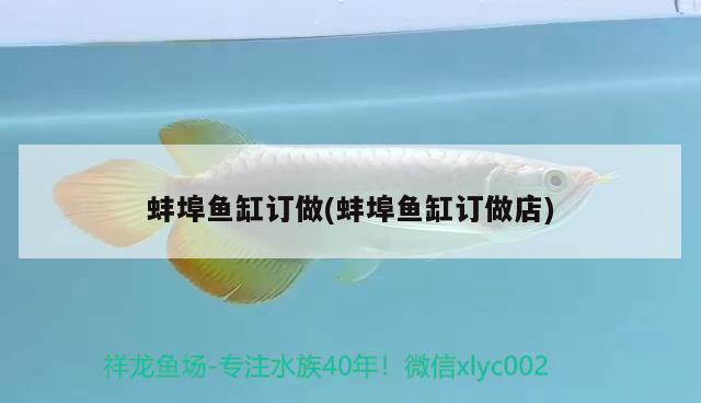 魚缸長褐藻怎么辦？如何處理？，魚缸水草長褐藻怎么辦，水草缸水草長褐藻怎么辦