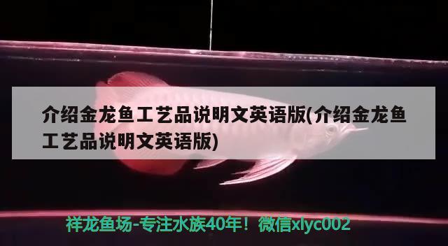 介紹金龍魚工藝品說明文英語版(介紹金龍魚工藝品說明文英語版) 熊貓異形魚L46