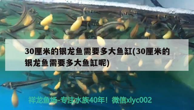 南寧市景寓水族用品店 全國水族館企業(yè)名錄 第1張