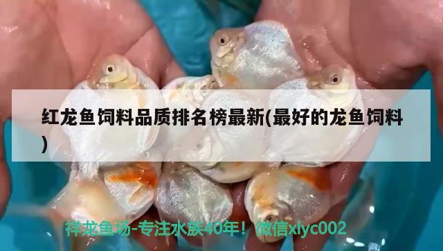 紅龍魚飼料品質(zhì)排名榜最新(最好的龍魚飼料)