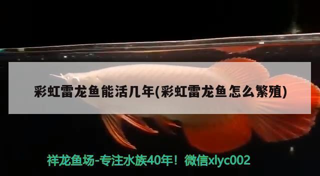 魚缸不用了怎么處理有什么講究和忌諱丟魚缸有什么注意事項，丟魚缸有什么講究和忌諱丟魚缸有什么注意事項