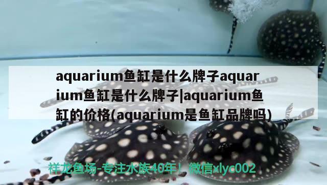 龍魚漆業(yè)南寧分公司招聘（豪美水族箱廠在哪里）