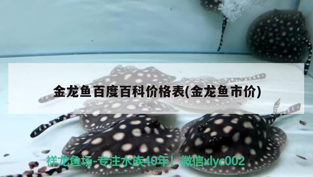 金龍魚百度百科價格表(金龍魚市價) 飛鳳魚