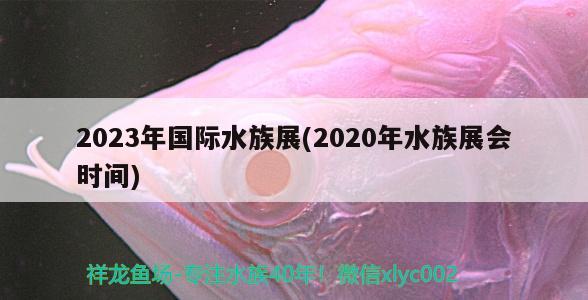 2023年國際水族展(2020年水族展會時間) 水族展會