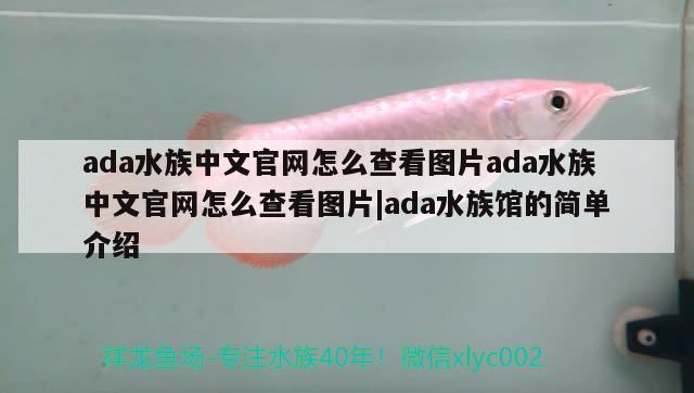 ada水族中文官網(wǎng)怎么查看圖片ada水族中文官網(wǎng)怎么查看圖片|ada水族館的簡(jiǎn)單介紹