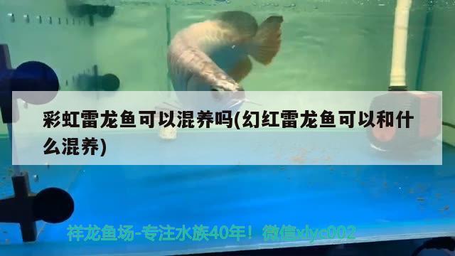 水族館豐富多樣的展覽環(huán)境保護與可持續(xù)發(fā)展（臨汾堯都區(qū)雙隆水族館：探索海洋奇觀的絕佳去處水族館） 全國水族館企業(yè)名錄 第2張