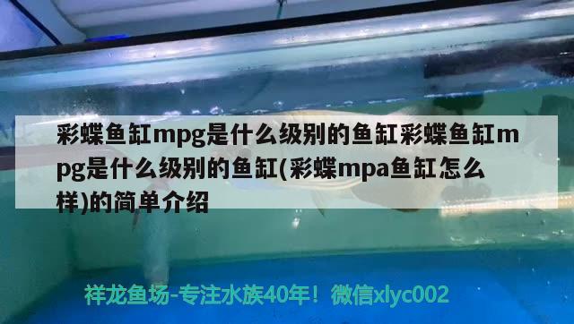 彩蝶魚(yú)缸mpg是什么級(jí)別的魚(yú)缸彩蝶魚(yú)缸mpg是什么級(jí)別的魚(yú)缸(彩蝶mpa魚(yú)缸怎么樣)的簡(jiǎn)單介紹