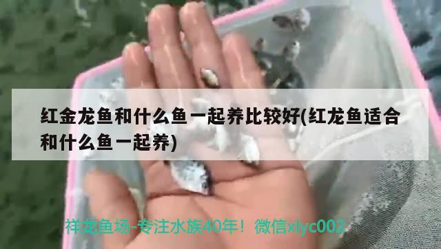 沙河口區(qū)浩淼觀賞魚店 全國水族館企業(yè)名錄 第2張