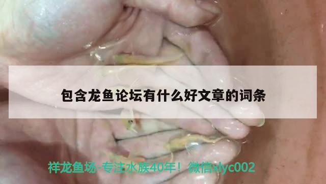 包含龍魚論壇有什么好文章的詞條