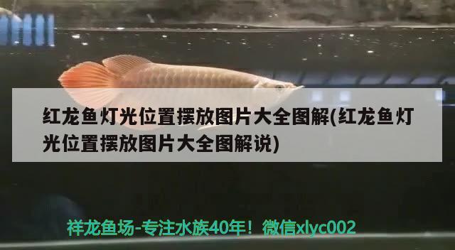 春天夜釣一般幾點上魚 潛水艇魚 第2張