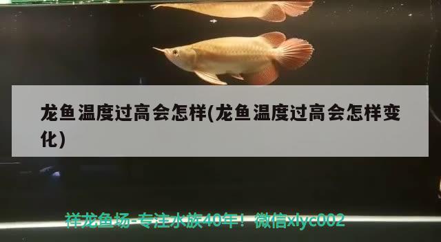 森森魚缸濟(jì)南專賣店（ 森森魚缸山東總代理） 魚缸水泵