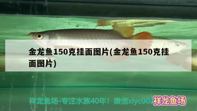 金龍魚150克掛面圖片(金龍魚150克掛面圖片)