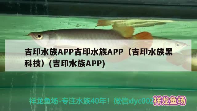 吉印水族APP吉印水族APP（吉印水族黑科技）(吉印水族APP)