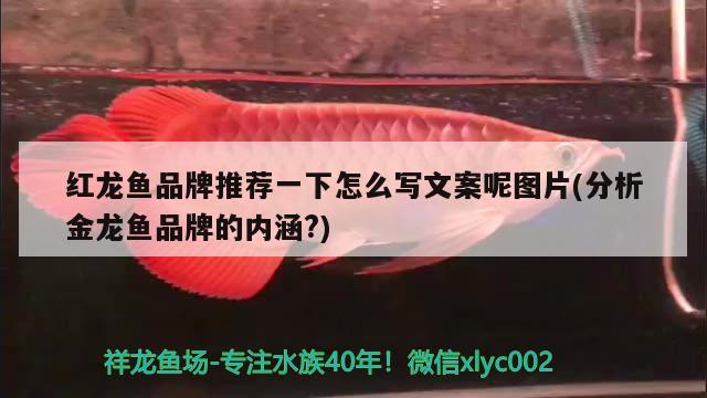 粘好的魚缸怎么拆開(粘好的魚缸怎么拆開視頻) 觀賞魚飼料 第2張