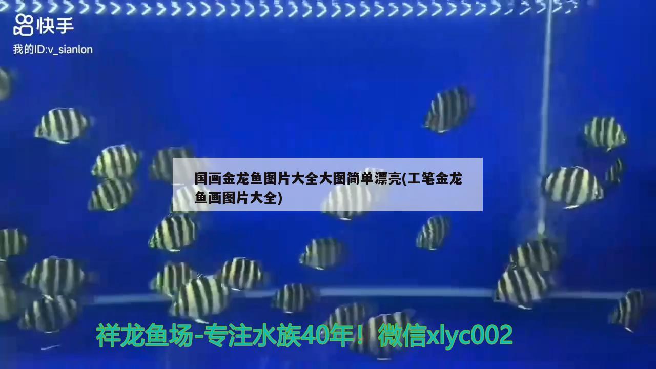 國畫金龍魚圖片大全大圖簡單漂亮(工筆金龍魚畫圖片大全) 福滿鉆魚