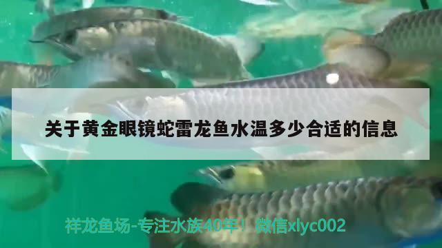 關于黃金眼鏡蛇雷龍魚水溫多少合適的信息