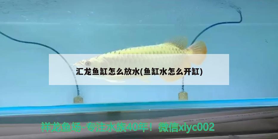 匯龍魚缸怎么放水(魚缸水怎么開缸)