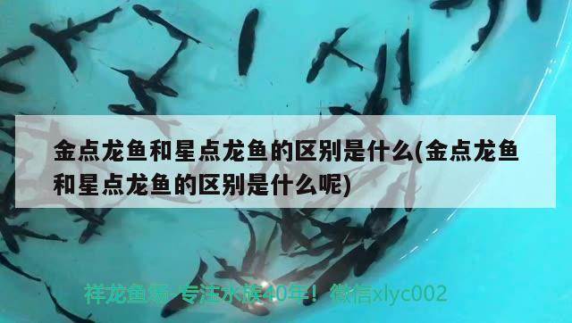 魚缸過濾多長時間（魚缸過濾管距離） 殺菌消毒設備 第2張