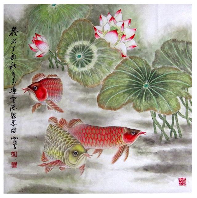 魚缸批發(fā)市場，西安魚缸批發(fā)市場 紅眼黃化幽靈火箭魚|皇家火箭魚 第3張