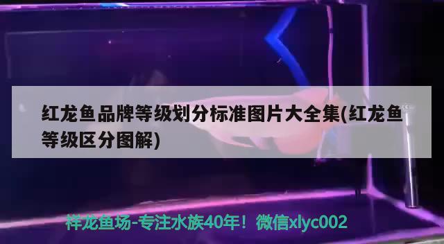 在電力搶修期間，停電后墜落保險(xiǎn)沒有解除，一名外來人員非法送電，導(dǎo)致一名搶修人員死亡。法庭將如何判決負(fù)責(zé)管理的人，16個(gè)少數(shù)民族民族分布地區(qū)