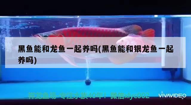 天潤魚缸廠家聯(lián)系方法電話查詢大全：天潤水族箱客服電話