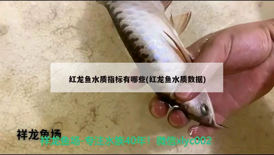 紅龍魚水質(zhì)指標(biāo)有哪些(紅龍魚水質(zhì)數(shù)據(jù))