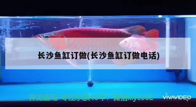 長沙魚缸訂做(長沙魚缸訂做電話)