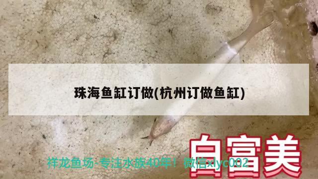 搶治龍魚手法與藥物用量曝光