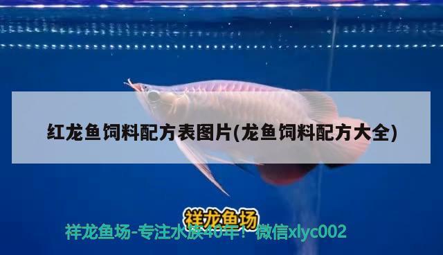 紅龍魚飼料配方表圖片(龍魚飼料配方大全) 魟魚百科 第2張