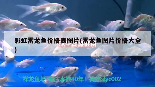 三門峽水族館 觀賞魚企業(yè)目錄 第3張