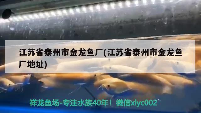 江蘇省泰州市金龍魚廠(江蘇省泰州市金龍魚廠地址)