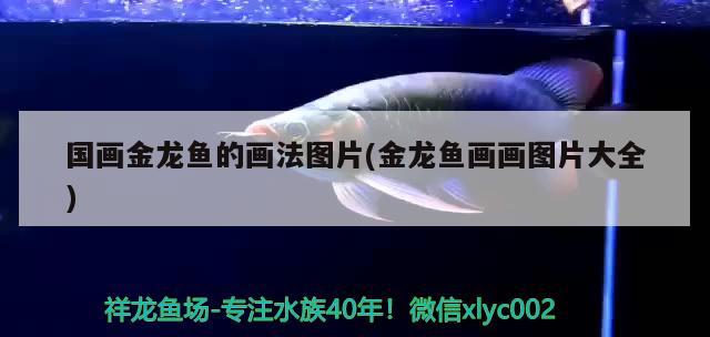 國畫金龍魚的畫法圖片(金龍魚畫畫圖片大全) 魚缸百科