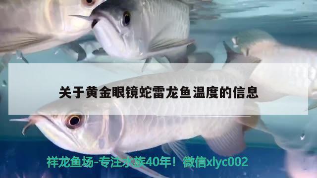 關(guān)于黃金眼鏡蛇雷龍魚溫度的信息