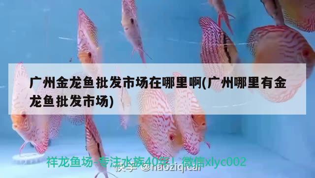 網(wǎng)上的魚缸和實體店的魚缸質(zhì)量差的那么遠(yuǎn)(網(wǎng)上的魚缸是不是比實體店貴)