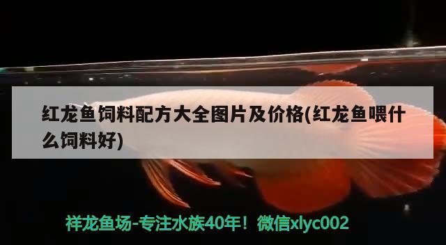 家里的魚(yú)缸放在哪個(gè)位置好？魚(yú)缸擺放位置的選擇客廳臥室廚房其他位置，家里的魚(yú)缸放在哪個(gè)位置好魚(yú)缸擺放位置選擇最適合的位置 觀賞魚(yú)進(jìn)出口 第3張