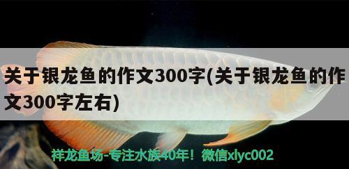 內(nèi)江觀(guān)賞魚(yú)基地批發(fā)價(jià)格查詢(xún)網(wǎng)（內(nèi)江魚(yú)苗基地在哪）