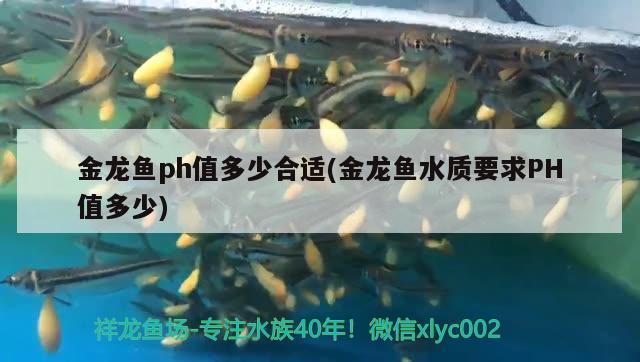 金龍魚ph值多少合適(金龍魚水質(zhì)要求PH值多少)