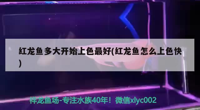 陶瓷魚缸用什么過濾器比較好，，陶瓷魚缸用什么樣的過濾器比較好