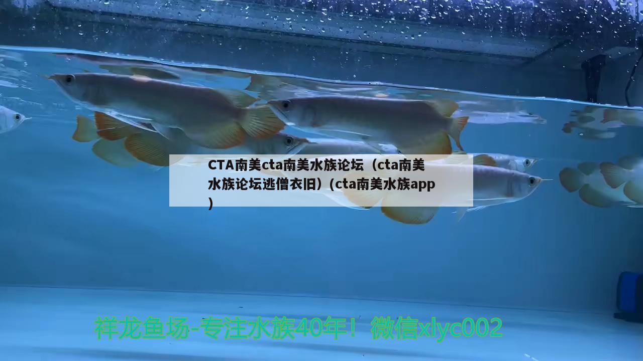 CTA南美cta南美水族論壇（cta南美水族論壇逃僧衣舊）(cta南美水族app)