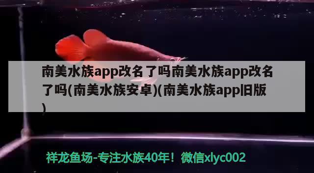 南美水族app改名了嗎南美水族app改名了嗎(南美水族安卓)(南美水族app舊版)