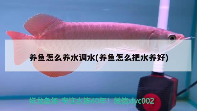 塑料魚缸和玻璃魚缸的區(qū)別在哪里：塑料魚缸和玻璃魚缸的區(qū)別在哪里呢 養(yǎng)魚的好處 第3張