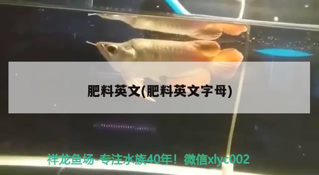 黑帝13公分公