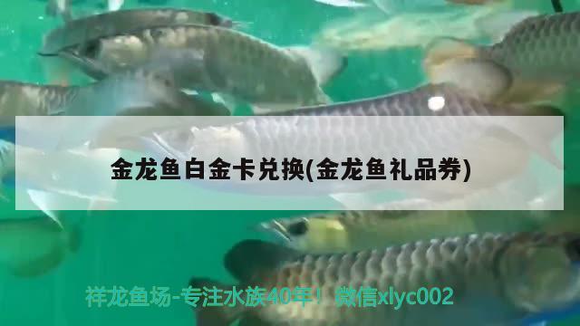 金龍魚(yú)白金卡兌換(金龍魚(yú)禮品券)